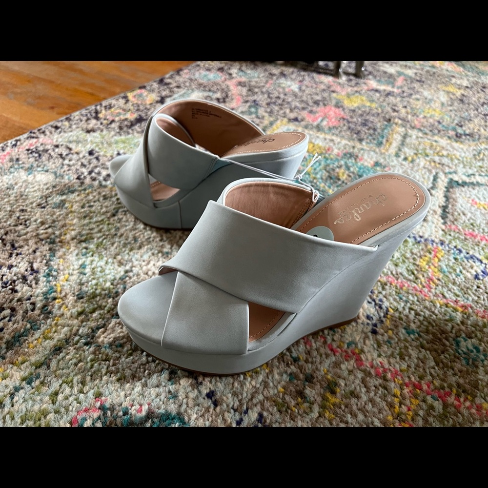 Charles by Charles David worn once sky high wedges